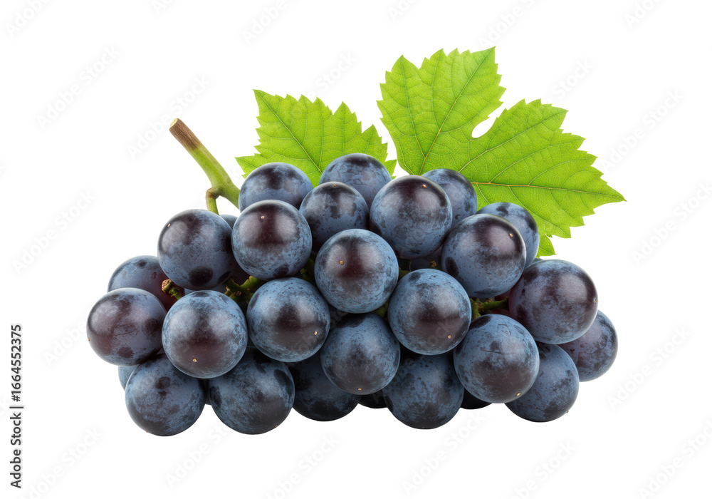 Fototapeta premium Photorealistic dark purple grapes with natural bloom, vibrant green leaves & brown stem, isolated on bright white background with soft studio light, healthy food concept