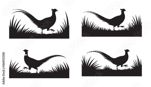 Elegant black silhouette illustrations of pheasants walking through grassy landscapes on white backgrounds