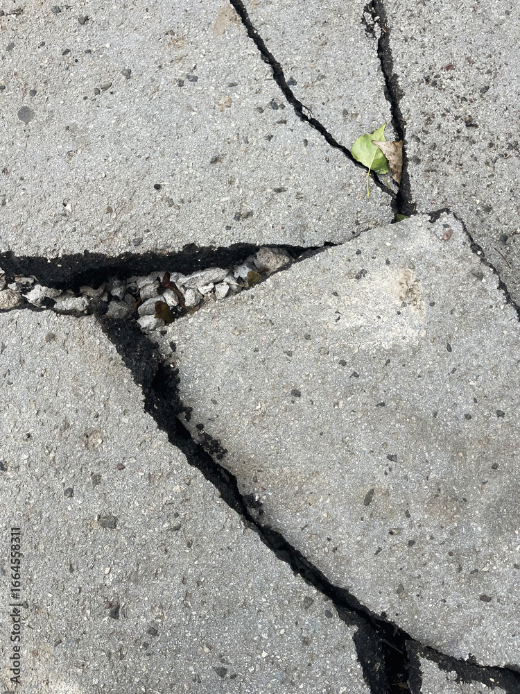 Obraz premium A close-up of a shattered gray concrete slab with a single green leaf caught in one of the jagged cracks, revealing a darker, gravel-filled fissure below. This image captures the contrast between man-