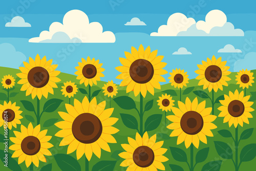 Field of sunflowers against blue sky with clouds. Vector illustration of a summer landscape. Modern flat cartoon graphic for agriculture, nature, and sunny day concepts.