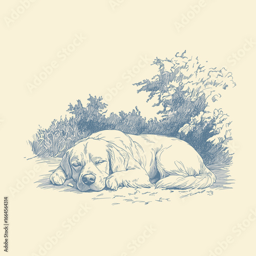 Sleeping puppy surrounded by plants