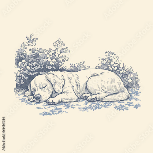 Sleeping puppy surrounded by plants