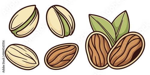 Pistachios and almonds illustration healthy nuts and seeds