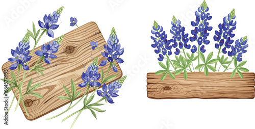 Texas Bluebonnet Watercolor Illustrations on Wood

