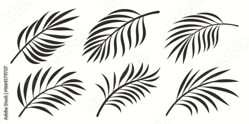 Collection of Stylized Palm Fronds