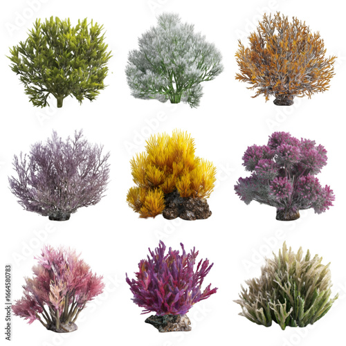 Vibrant Artificial Coral Reef Plants: Nine Diverse Colors, High-Resolution Images for Aquarium or Underwater Designs, Isolated on Transparent Background.