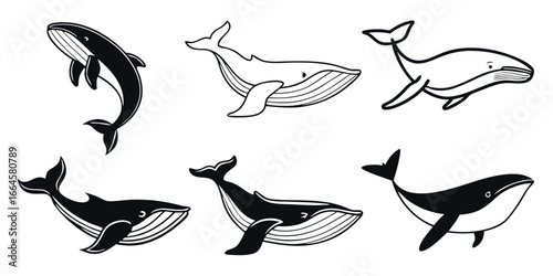 Collection of Stylized Whale Illustrations in Black and White