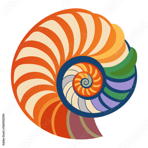 colorful nautilus shell spiral illustration on white background
