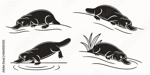 Four Stylized Black Platypus Illustrations in Water