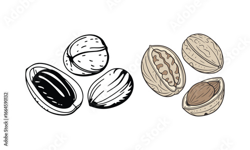 Three walnuts arranged in a row symbolizing intelligence and cerebral function on a neutral setting