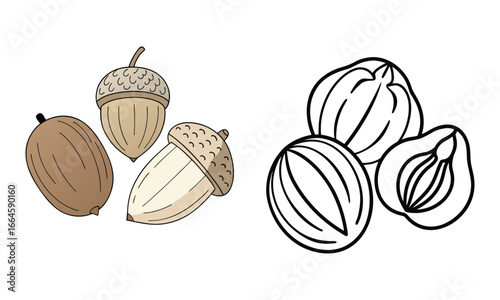 Three walnuts arranged in a row symbolizing intelligence and cerebral function on a neutral setting