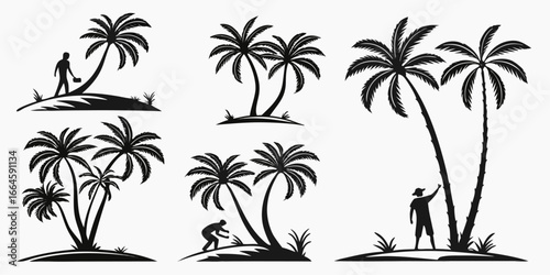 Silhouette of people tending to palm trees on tropical islands