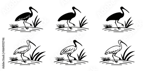 Six Stylized Ibis Birds in Silhouette and Outline