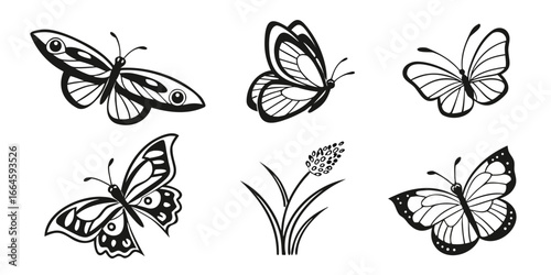 Stylized Black and White Butterfly Illustrations