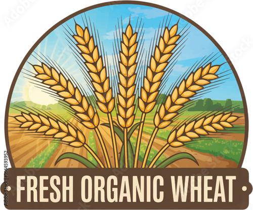 Fresh Organic Wheat Ears in Field