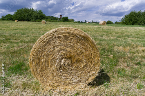 Straw bales on a wheat field. South Moravia, Czech Republic.
