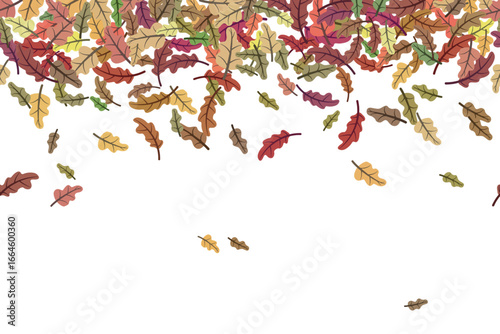 Colorful oak leaves falling creating a seamless border on white background