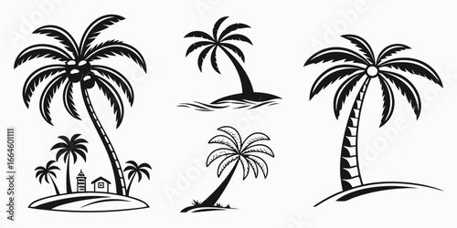 Tropical Palm Trees Silhouette Collection
