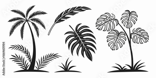 Tropical Plants and Feather Silhouette Collection