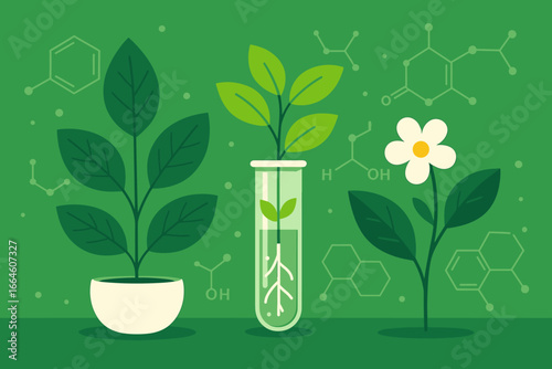 Biology research concept with plants in pot and test tube. Botany and biochemistry science experiment. Biotechnology and genetic engineering vector illustration with molecule structures.