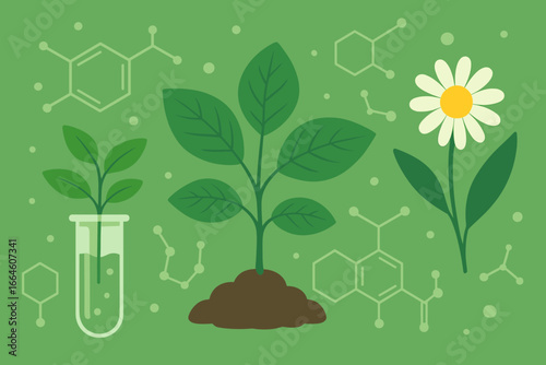 Biology laboratory nature and science. Plants with biochemistry structure on green background. Biotechnology concept. Botany research, gmo and plant science vector illustration.