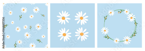Seamless pattern with daisy flower and green branch on blue background. Daisy icon set and daisy floral wreath vector.
