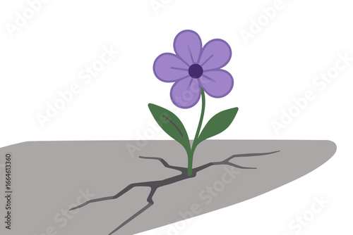 Purple flower growing through cracked street pavement, resilience concept, modern flat vector cartoon illustration with soft focus and blank background for versatile use