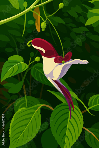The image depicts the Parrot Flower (Impatiens psittacina), a rare and exotic plant native to Southeast Asia. Its blossom resembles the shape of a flying parrot, with a creamy white base and deep burg