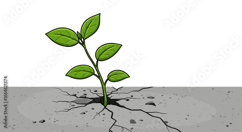 Green seedling plant growing through cracked concrete showing resilience and new beginnings isolated on white background