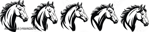Black and white horse head illustration, vector art, equestrian logo design, stallion silhouette, wild mustang graphic, detailed mane drawing, animal emblem
