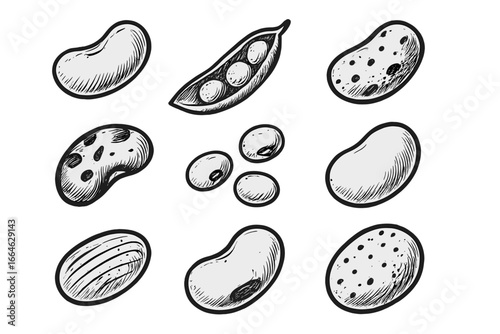 Hand drawn beans and legumes icon set. Vector illustration sketch of various seeds and pods like kidney, soy, pinto. Healthy organic food, vegan protein, vegetarian diet.