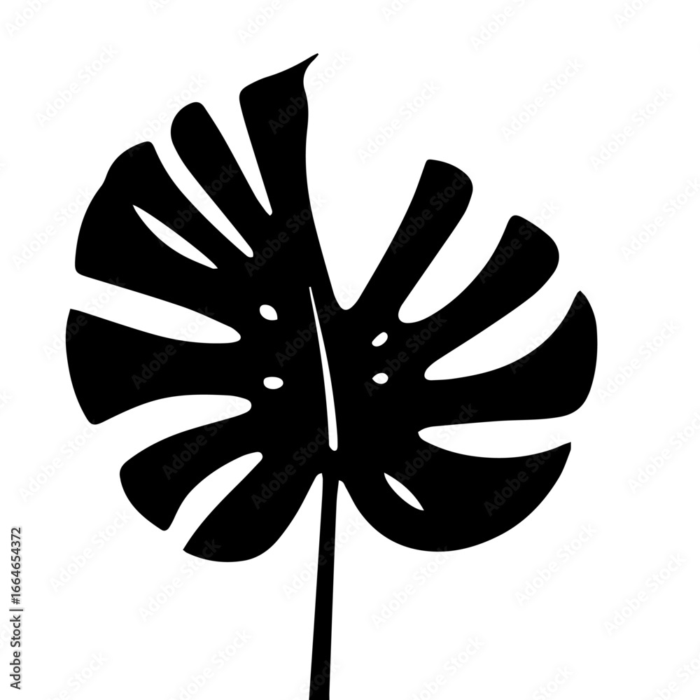 Obraz premium Black and white vector silhouette of a Monstera leaf on a white background 