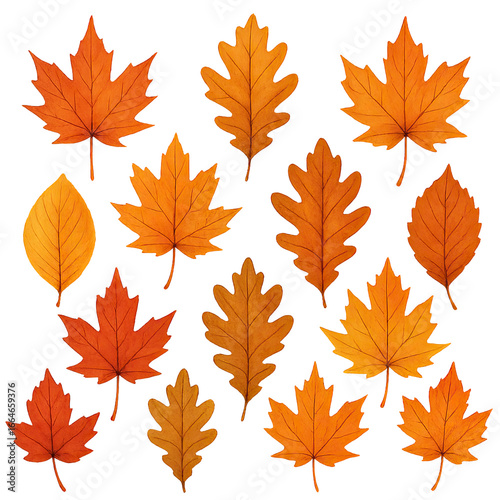 Isolate transparent Autumn Leaf Collection Featuring Maple Leaves in Warm Orange and Yellow Hues PNG die-cut for advertising