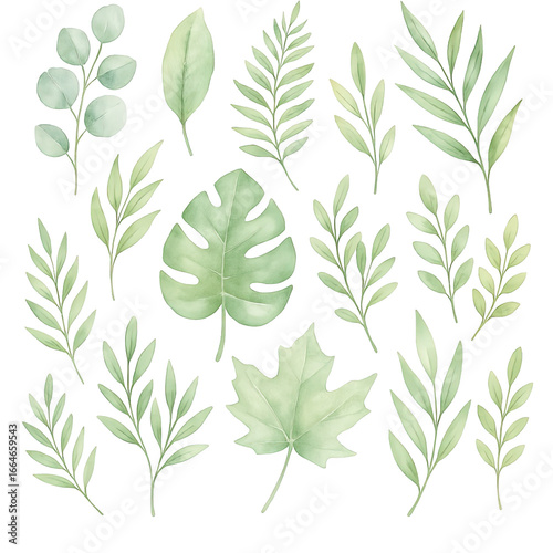 Isolate transparent Diverse Collection of Hand-Drawn Green Leaves and Foliage for Art Projects PNG die-cut for advertising