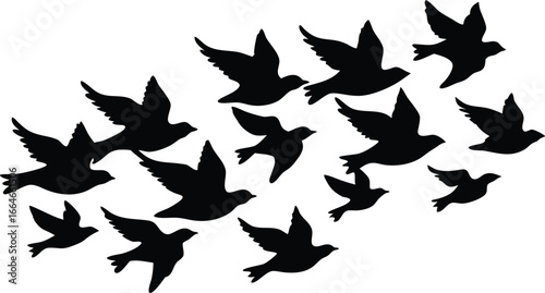  Flock of birds in flight flying silhouette illustration