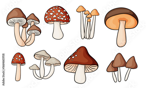 Set of bright forest mushrooms with dark outline in flat style