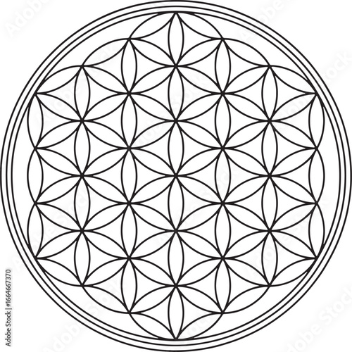 Geometric Flower Of Life Sacred Geometry Symbol In Circle Outline geometric pattern symmetry