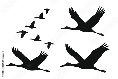 Migratory bird silhouettes vector icon set. Cranes, storks, and geese in V-formation flying. Wildlife migration concept. Black and white animal shapes for nature design.