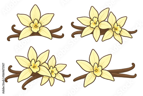Vanilla Flowers and Pods Artistic Arrangement on White Background, Natural Beauty and Culinary Potential, Cartoon Vector Illustration, Exotic Spice, Tropical Plant Design, Aromatic Vanilla Concept
