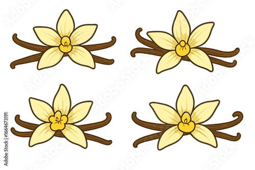 Vanilla flowers and pods arranged artistically on white background, natural beauty and culinary potential, vector cartoon illustration of vanilla plant with pods and blossoms