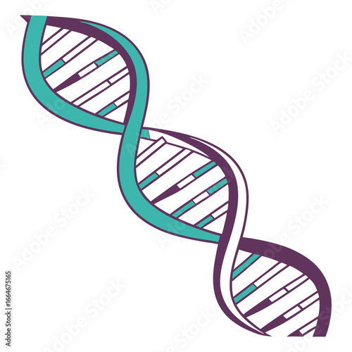 dna-double-helix-icon.eps