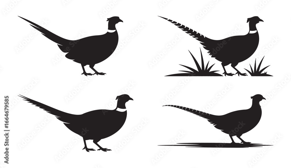 Fototapeta premium Silhouette illustrations of pheasant in various poses for use in designs and creative projects