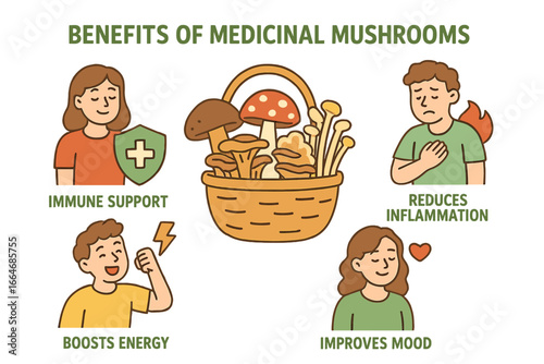 Medicinal mushrooms benefits infographic. Health wellness concept. Cartoon icons for immune support, energy boost, reduced inflammation, improved mood. Herbal remedies vector.