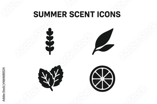 Summer Scent Icons Set, Solid Filled Vector of Aromatic Lavender Sprig, Eucalyptus Leaf, Fresh Mint Leaves, and Citrus Slice, Summer Fragrance Symbols Illustration