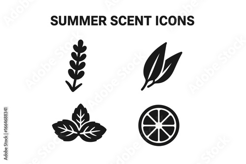 Summer Scent Icons Vector Set, Solid Filled Aromatic Symbols Lavender Sprig, Eucalyptus Leaf, Mint Leaves, Citrus Slice, Refreshing Herbal and Citrus Elements Illustration