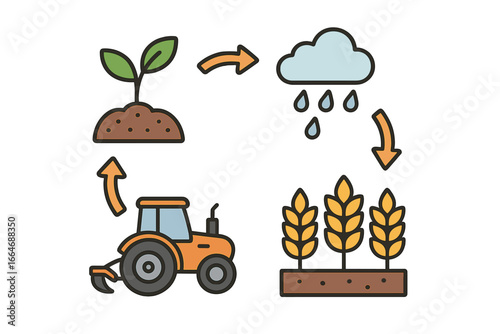 Agriculture cycle vector infographic. Farming process concept with icons. Tractor cultivation, plant seeding, rain for crop growth, and wheat harvest. Farmland production stages.