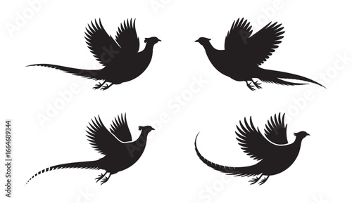 Silhouetted black pheasants flying with wings spread across a white background