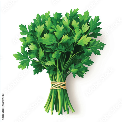 a parsley bunch