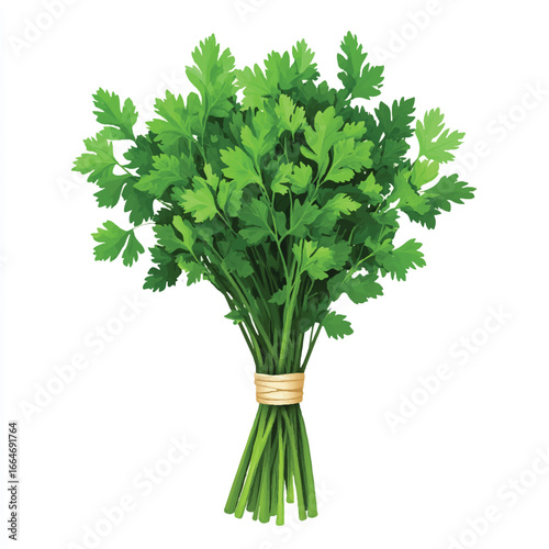 a parsley bunch