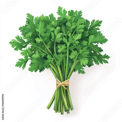 a parsley bunch